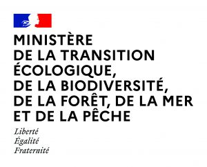 MTEBFMP